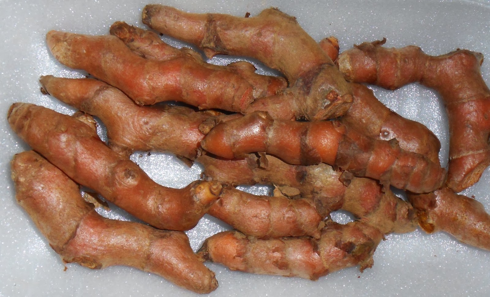 planter une racine de curcuma